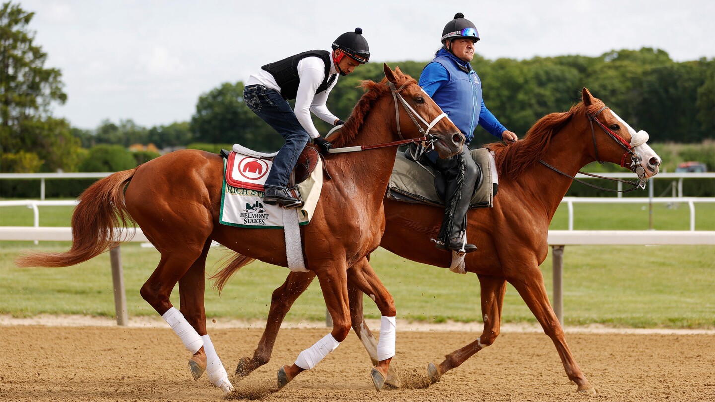 Belmont Stakes post positions, odds announced NBC Sports