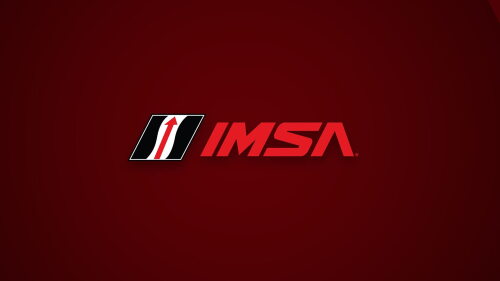 Image for IMSA Season Review