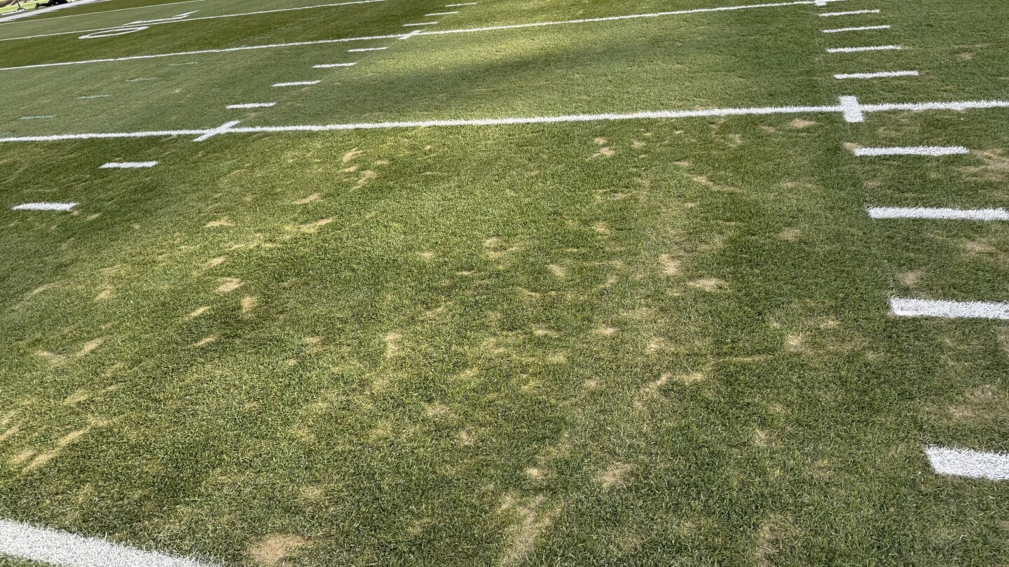 Acrisure Stadium Turf Condition Update Acrisure Stadium Turf Condition Update