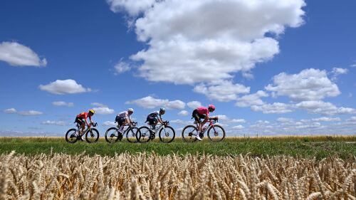 Image for Tour de France: Stage 15