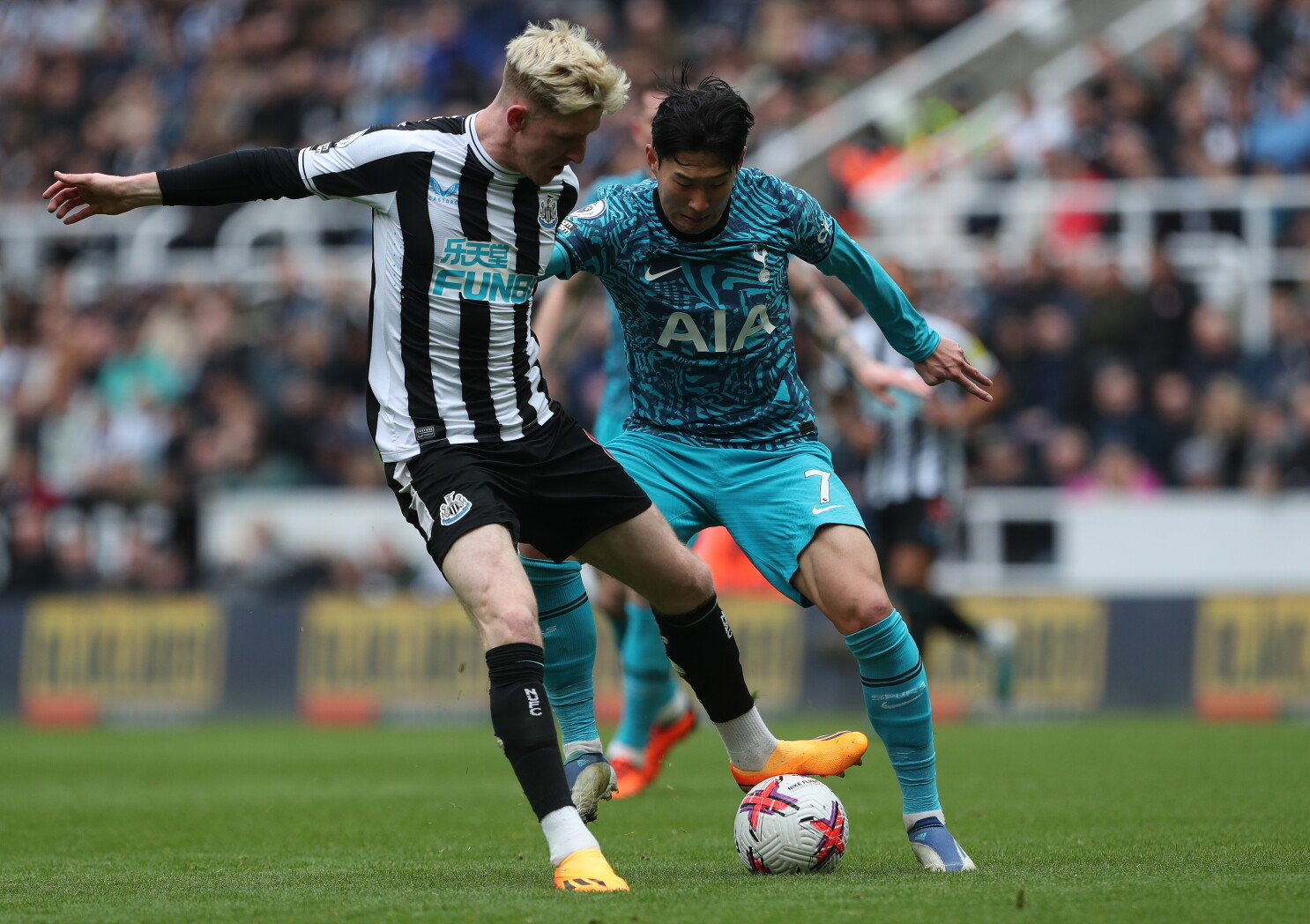 Tottenham vs Newcastle: How to watch live, team news, updates, stream link - NBC Sports