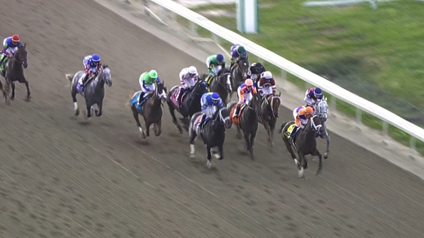 How to watch, streaming info for Louisiana Derby and Jeff Ruby Steaks ...