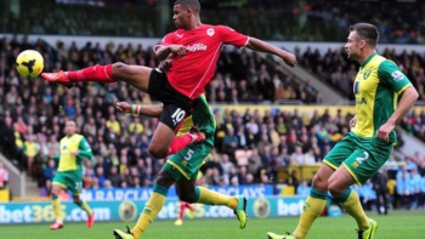 Fraizer Campbell gives Tony Pulis a new option at Crystal Palace - NBC ...