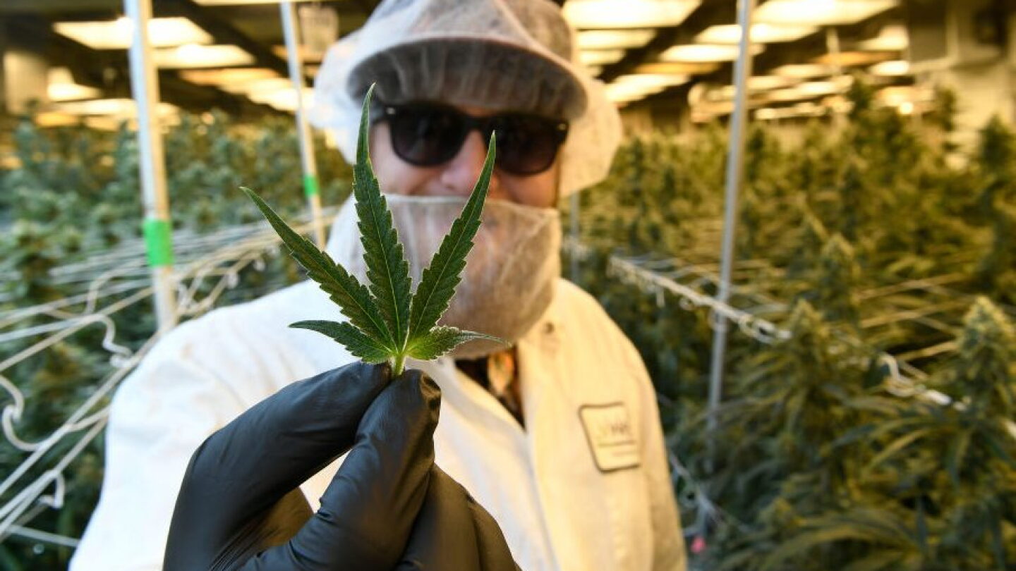 New CBA removes all substance-abuse suspensions for positive drug tests ...