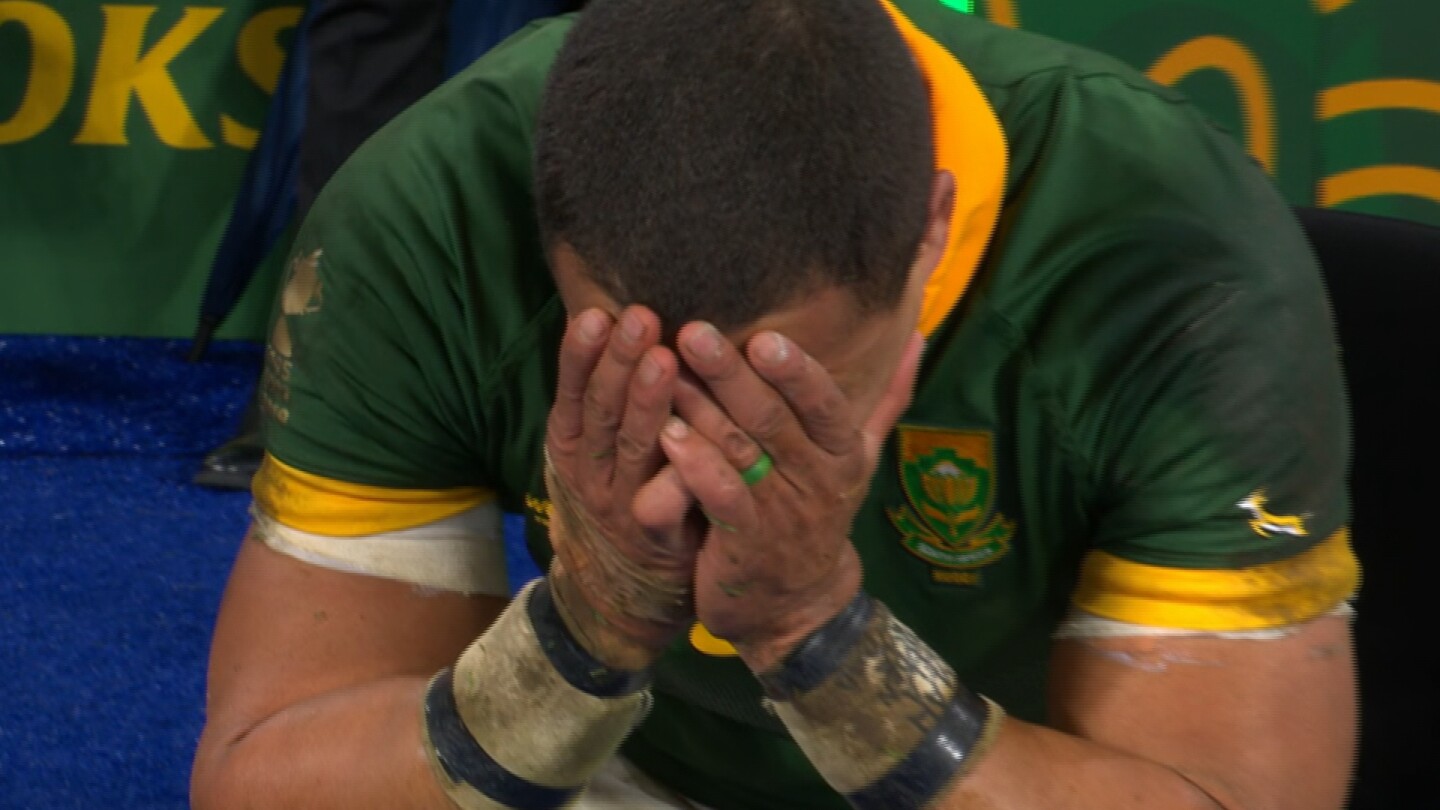 South Africa's Cheslin Kolbe issued yellow card in Rugby World Cup ...