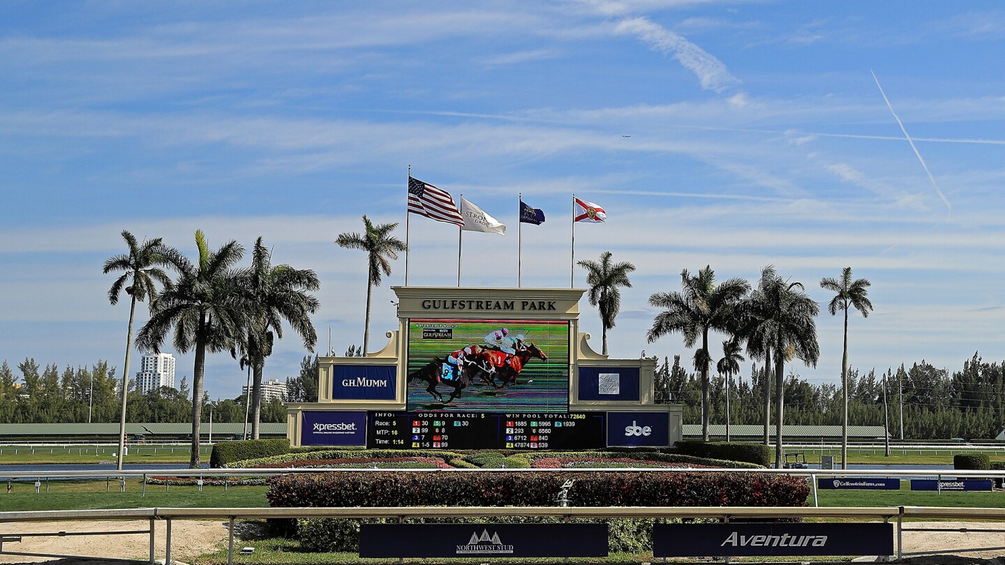 How to watch 2025 Pegasus World Cup Schedule, post time, location, entries list NBC Sports