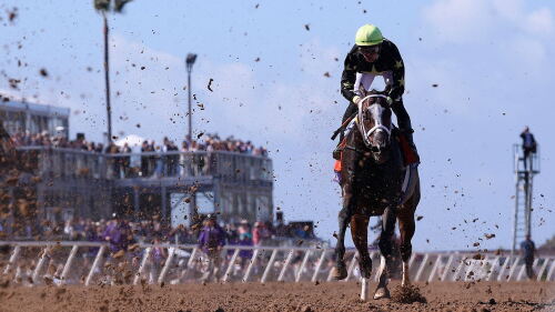 Image for Breeders' Cup World Championship