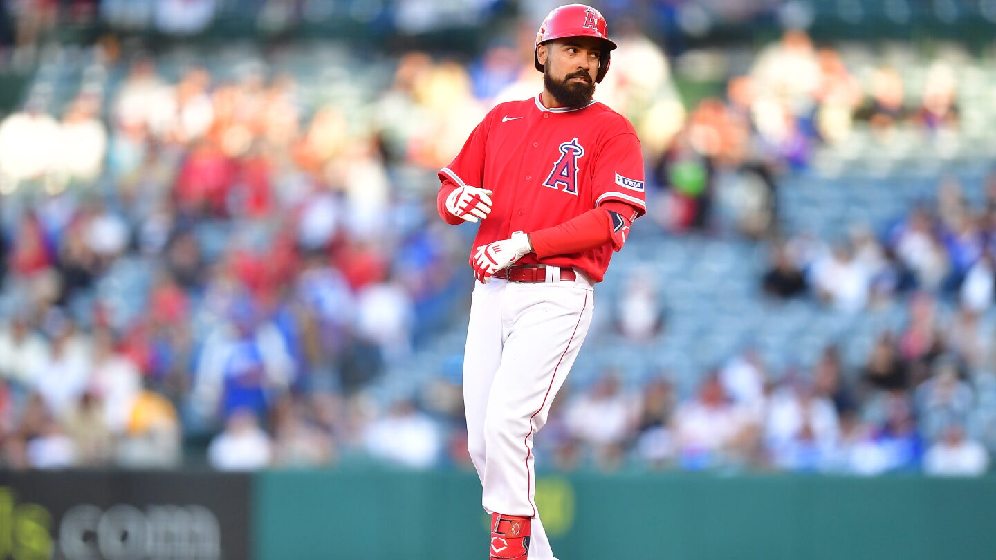 Anthony Rendon Memes Anthony Rendon fan interaction video looked into by MLB - NBC Sports