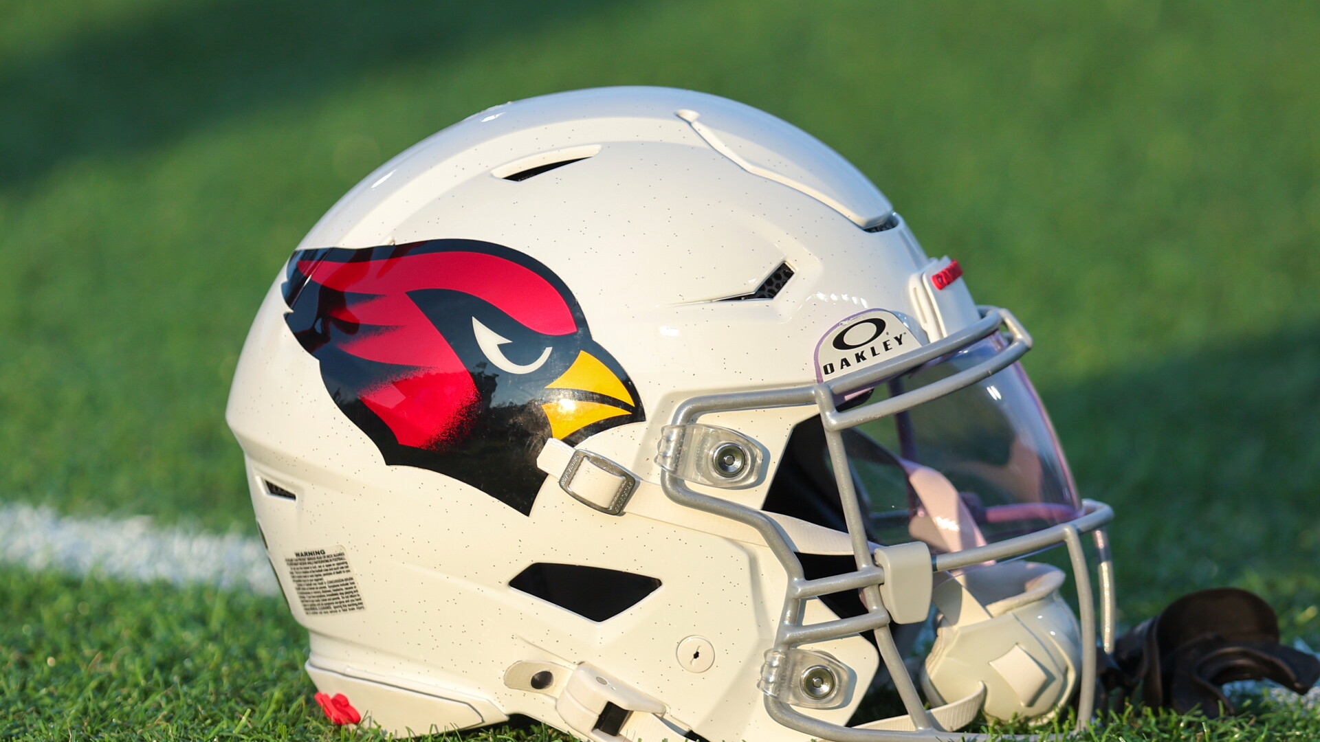 Cardinals sign S Josh Minkins, P Jack Browning