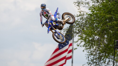 RedBud_HL_raw_260704.jpg