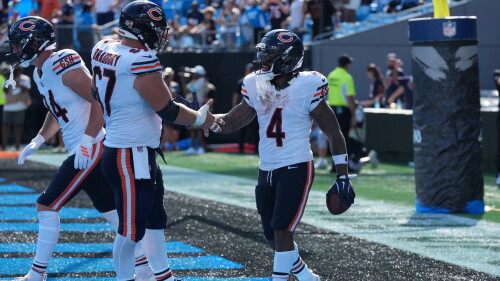 NFL: Chicago Bears at Carolina Panthers