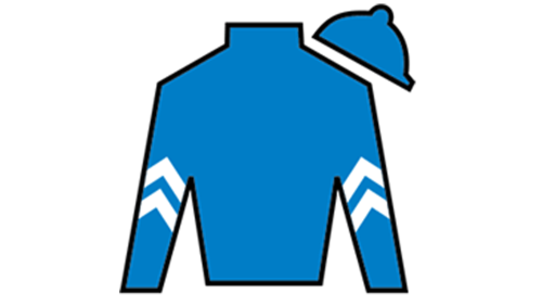 Sulque of sovereignty 2 - 2025 Kentucky Derby.png