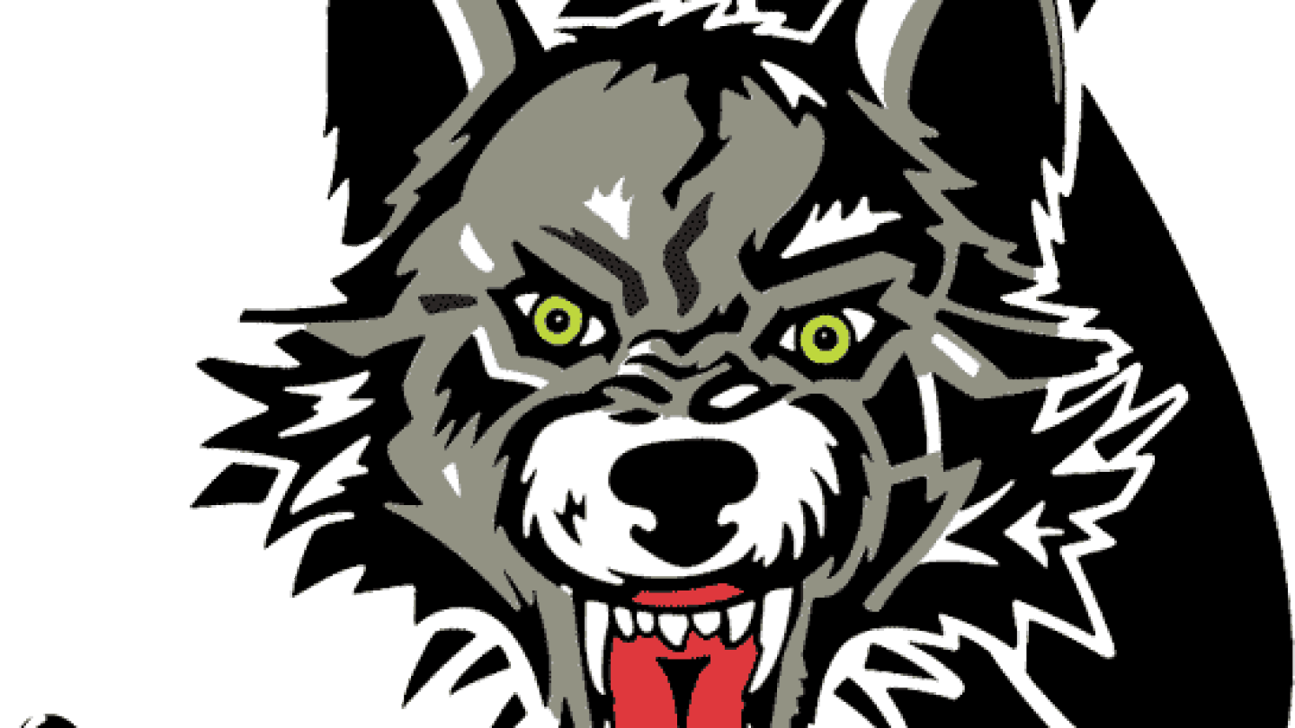 Blues make Chicago Wolves their new AHL affiliate - NBC Sports