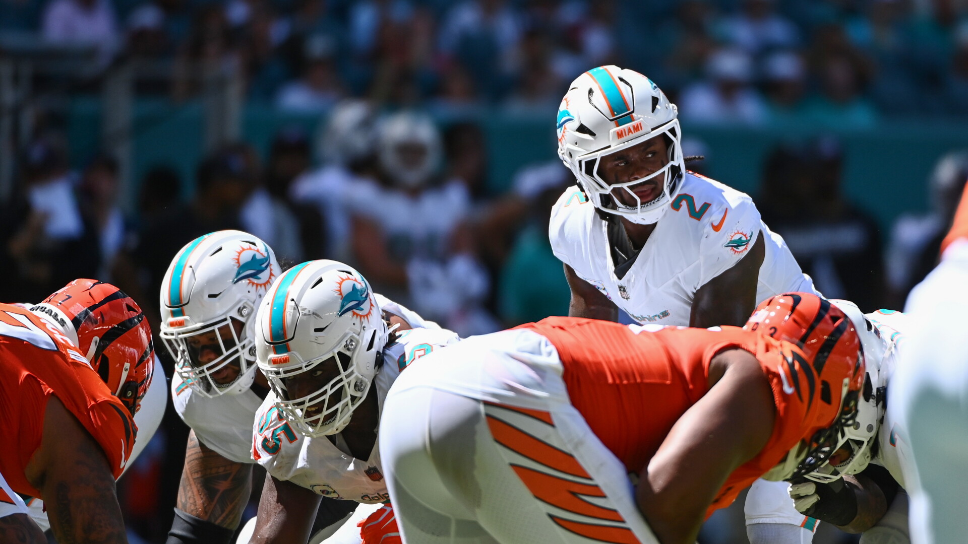 Malik Willis fantasy football news — ADP impact