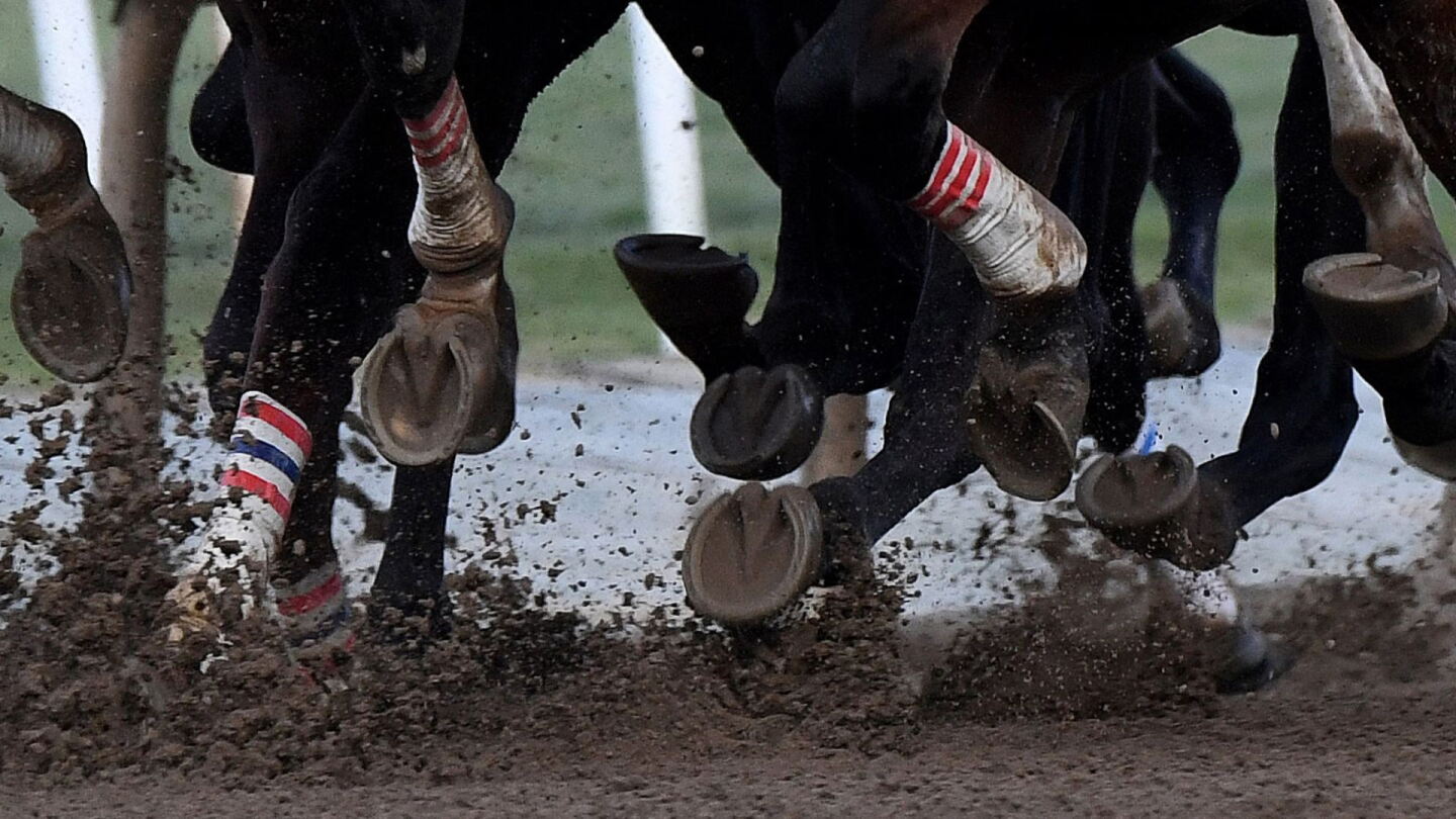 Doping Racing Horse racing's national anti-doping program starts - NBC Sports