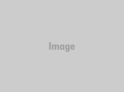 Al Harrington.jpg