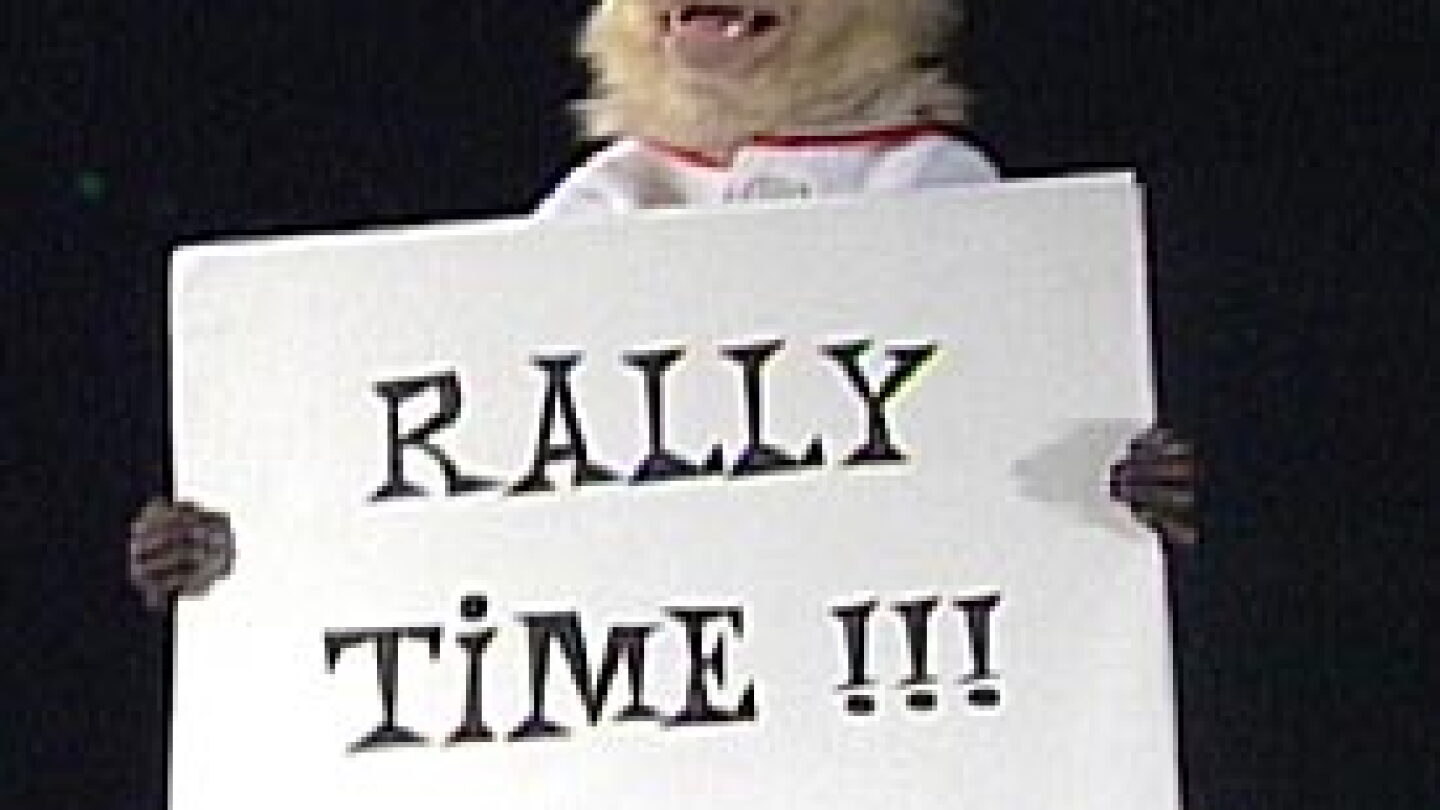 Angels Rally Time Monkey Fired by Angels, Rally Monkey creator selling World Series ring - NBC ...