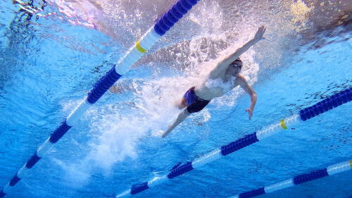 Image for U.S. Swimming National Championships